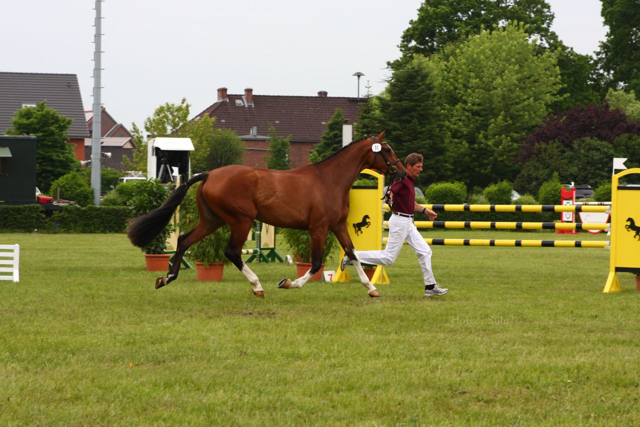 Bild 79 - Elmshorn am 9.6.10